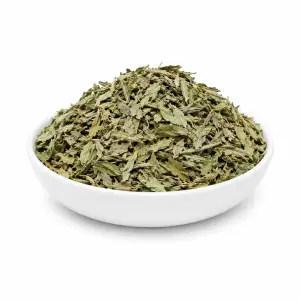 Sinai Habak - Wild Bedouin Desert Mint